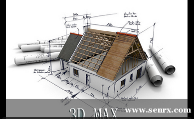 ����3D Max��ѵ