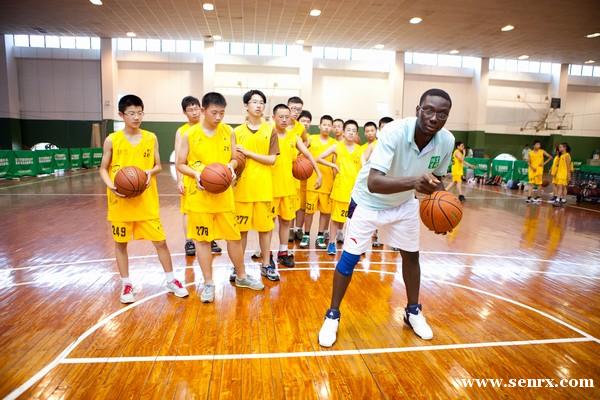 ���ݺ�������