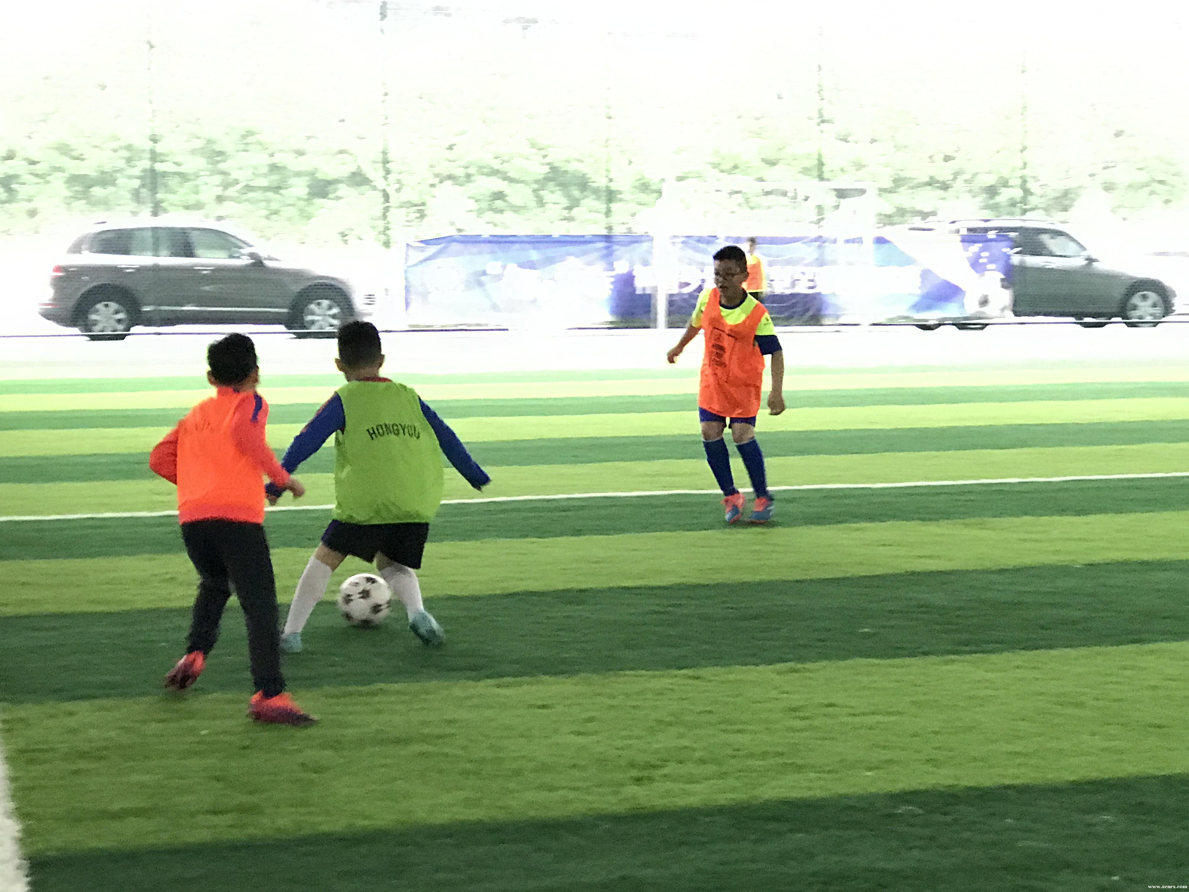 ���ݺ��Ž���