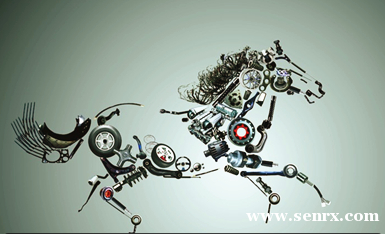 FLASH�������������ѵ��