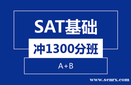 �����º���SAT������1300��8��(A+B)��ѵ��