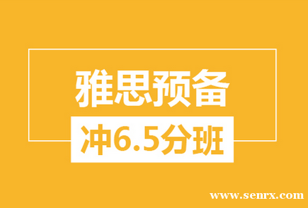 ��˼Ԥ����6.5����ѵ��