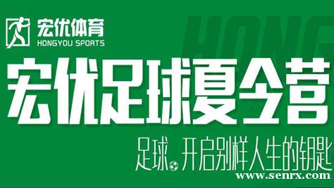 ���ݺ�������