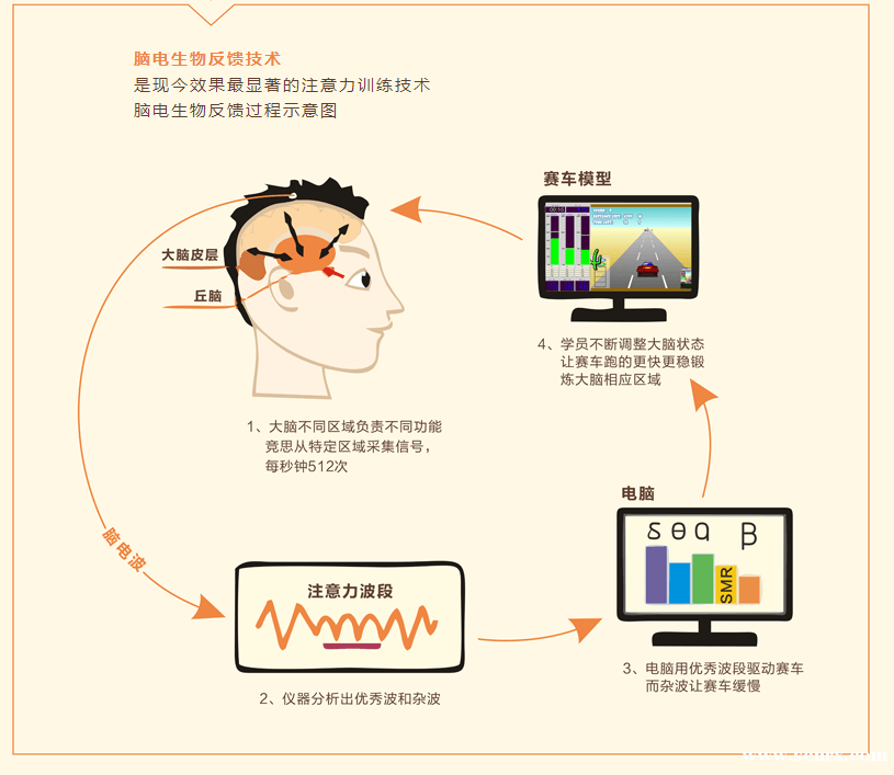 �ද֢����