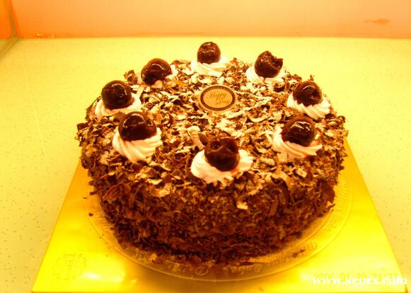 ����ʳ���������ѵ