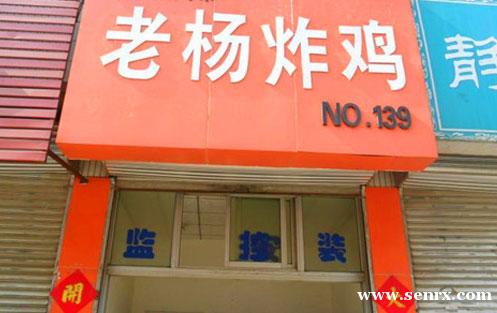 ����ʳ���������ѵ