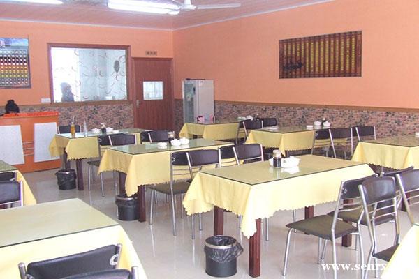 ����ʳ���������ѵ