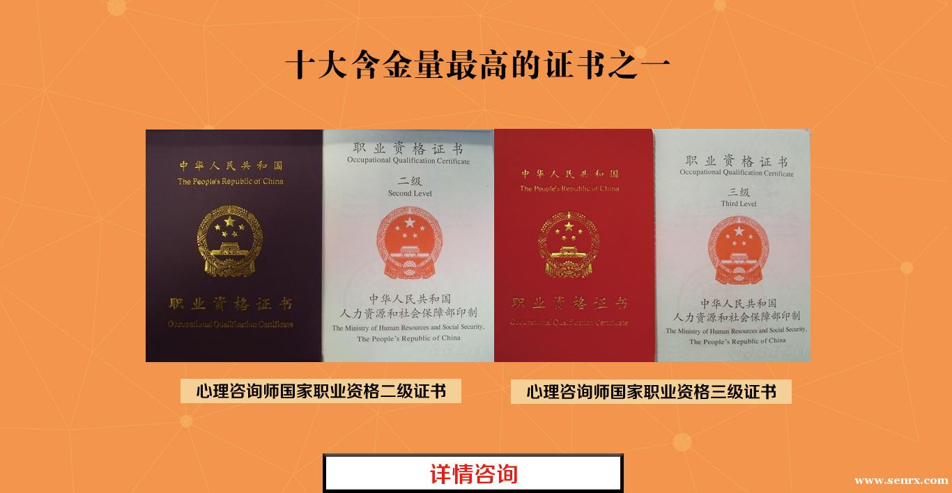 ����׿������