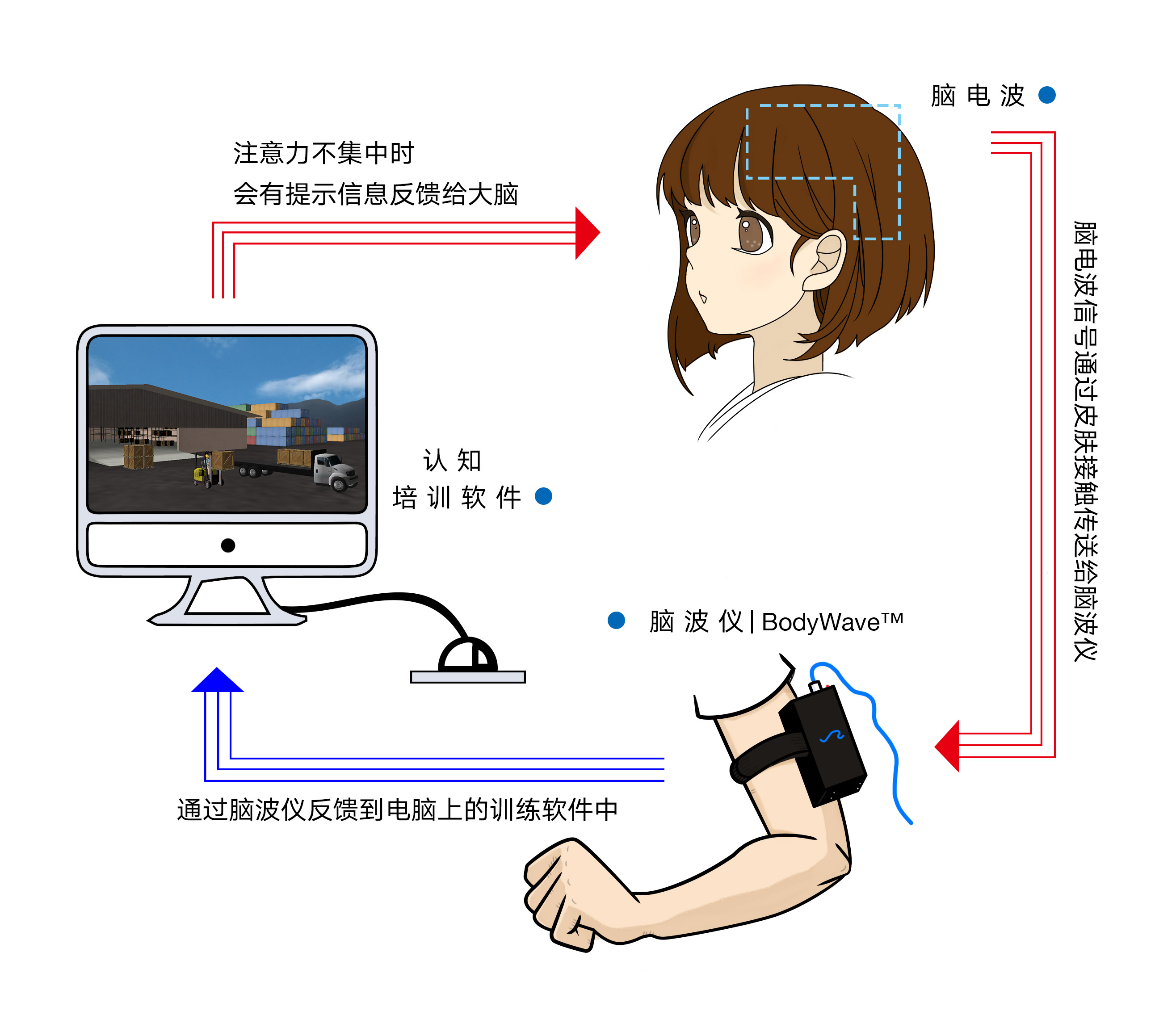 天津聚思脑电反馈专注力培训 天津聚思脑电反馈专注力培训
