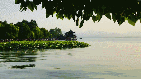 ���ݳɳ�����Ӫ