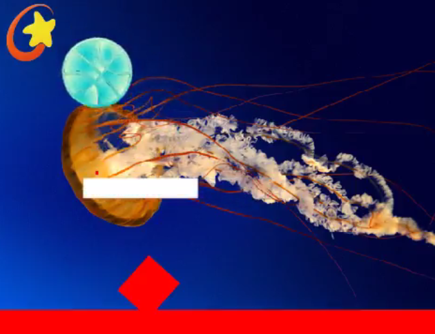 ���ݰ��ž���C++��ѵ