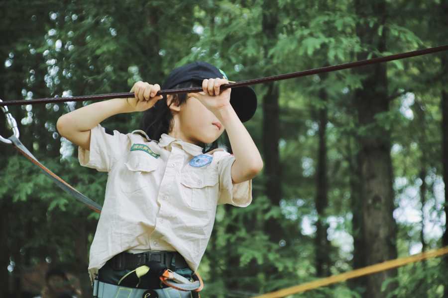 2020��������Ӫ