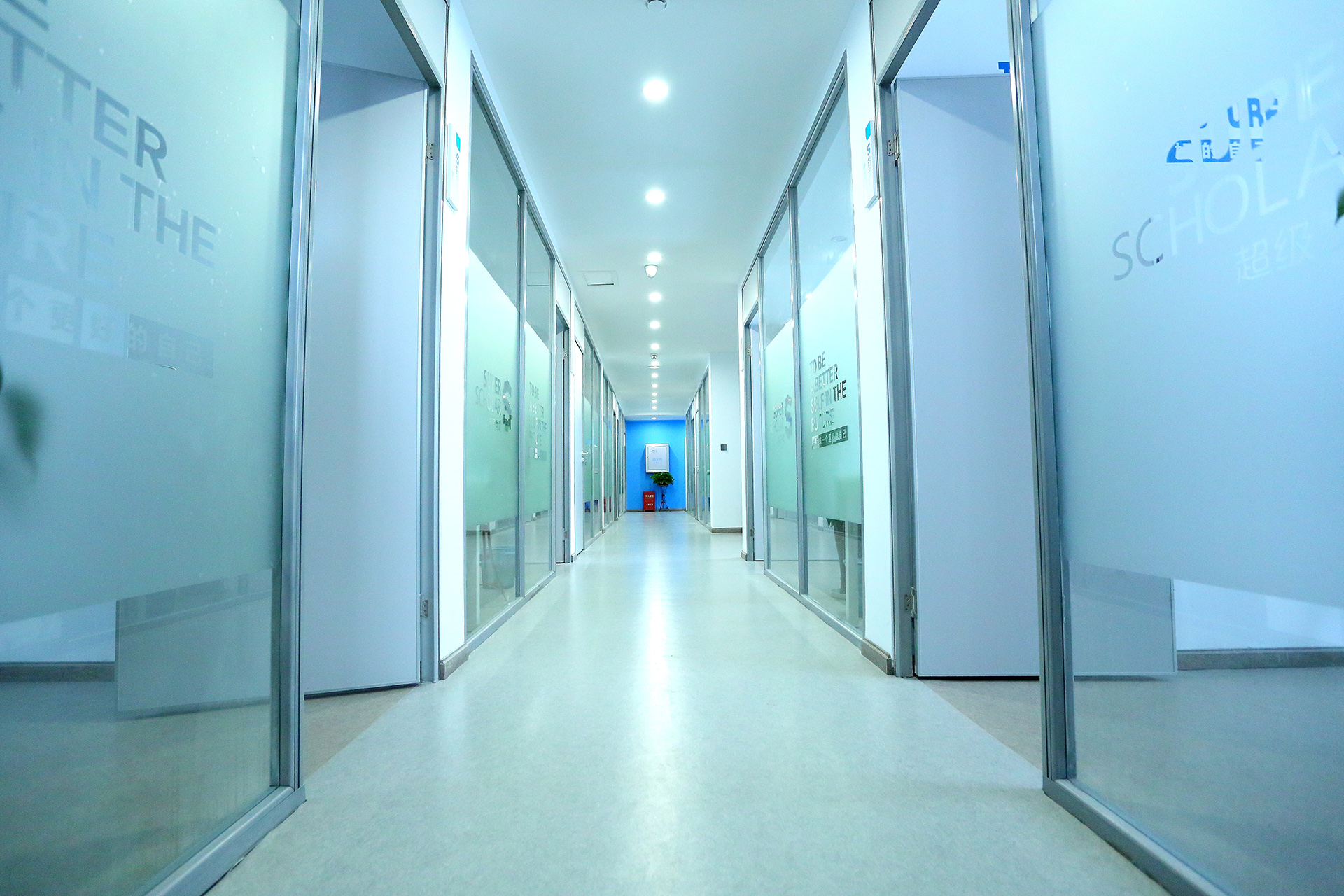 ����������Сѧ������