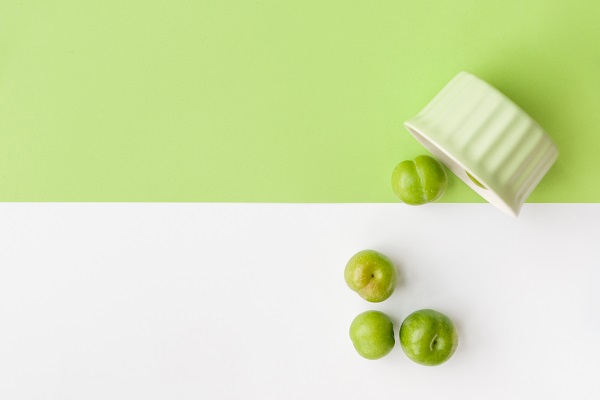 ���ݖ|��������������