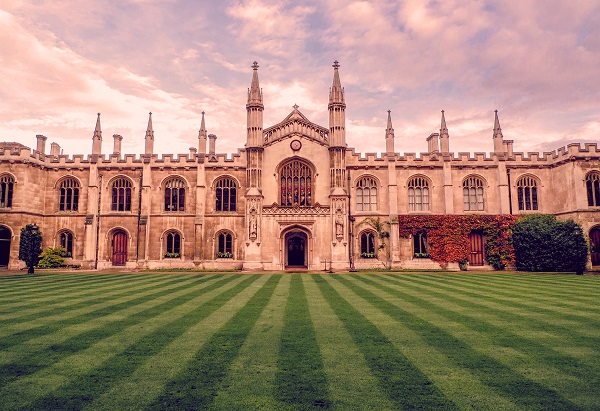 ��������IT������ѵѧУ