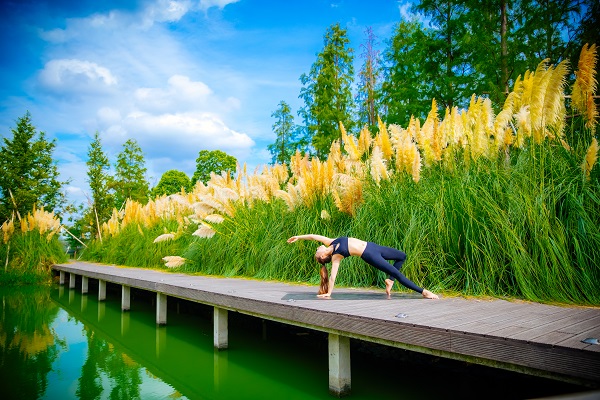 �Ϻ�567GO����������ѵ