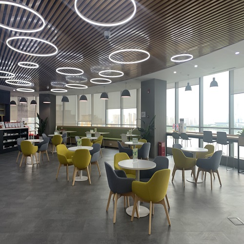 ����������ѧ�滮����