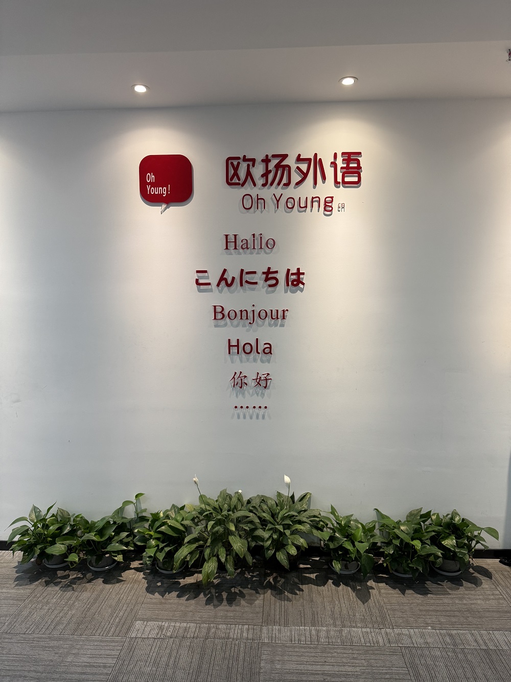 ����A1��ѵ