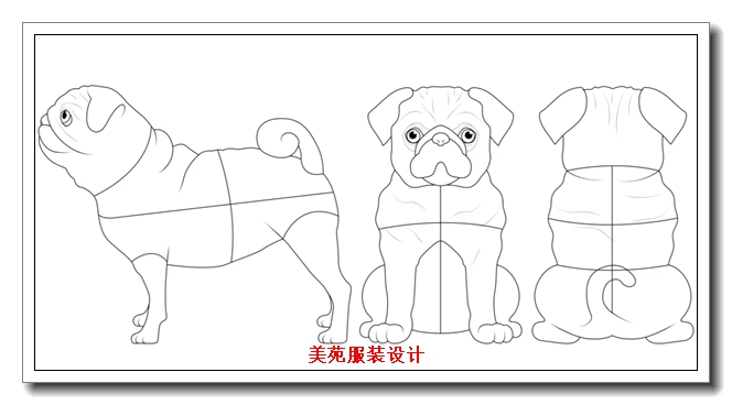 ���ݳ��������ѵ