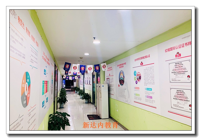 ֣��it��ѵ����