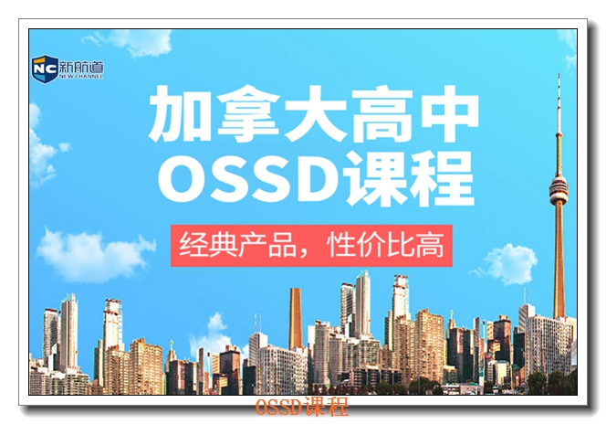 �����º���OSSD��ѵʦ��