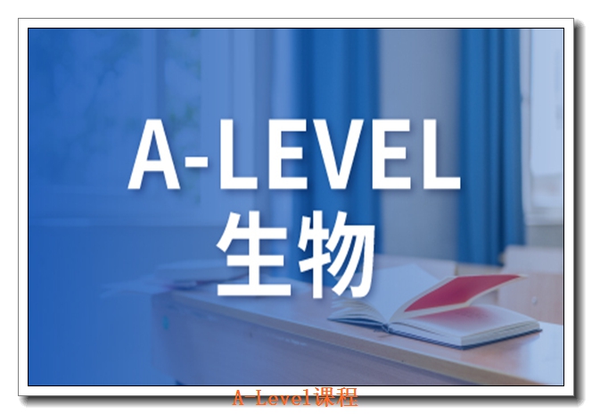 �����º���A-LEVEL������ѵ��