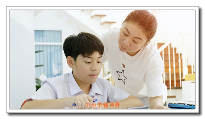 ʯ��ׯ��һӢ�ﵥ����ѵ