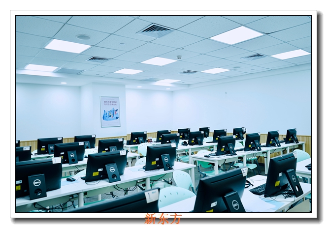 �����¶���Ӣ������������ϰ���/ѧ�������°��/��ѧ������