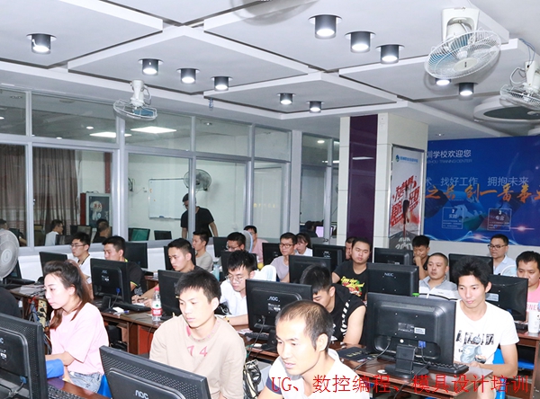 ����UGģ�������ѵ��