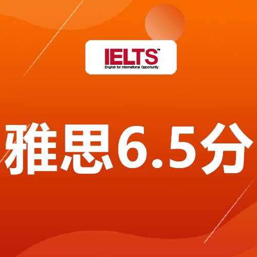 ������˼6.5�ָ�����