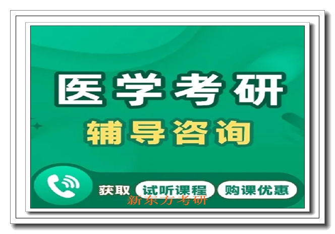 济南新东方考研集训地址 济南新东方考研集训地址