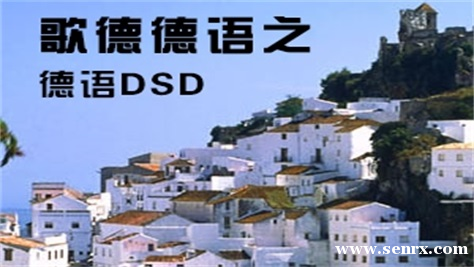 ������ŵ����DSD��ѵ��