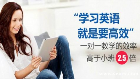 ����Ӣ����ѵѧУ