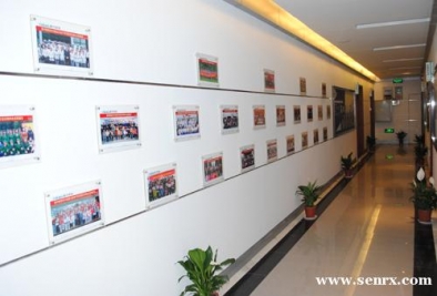 ��������������ƽ�������ѵ