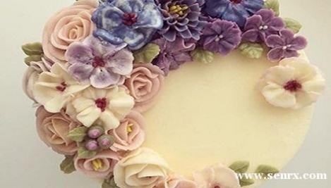 ��ʽ�ѻ��γ���ѵ��