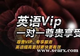 ����������ҵӢ��VIPһ��һӢ��