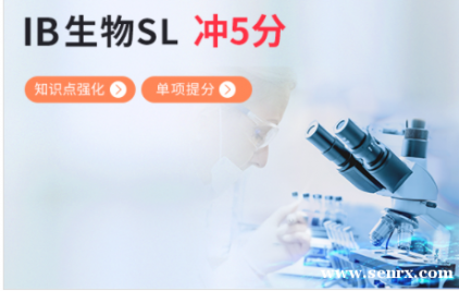 ��������IB����SL������� 5+ IB����SL�������̿γ�