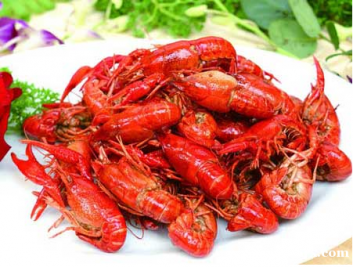 ����ʳΪ��С����ѵ��������С��Ϻ��ѵ