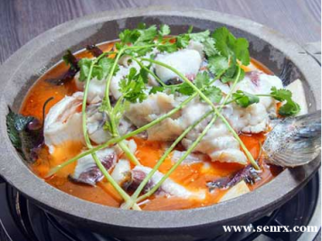 �Ϻ�ʳΪ��С����ѵ����ʯ������ѵ