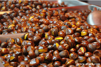 ��ɳʳΪ��С����ѵ�����ǳ�������ѵ