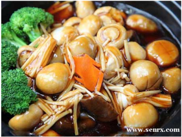 ��ɳʳΪ��С����ѵ����ɰ������ѵ