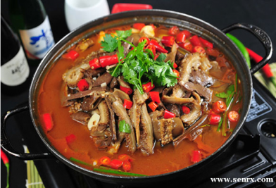 Ȫ��ʳΪ��С����ѵ����ţ�ӻ����ѵ