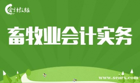 ������ƽ�������ҵ���ʵ��