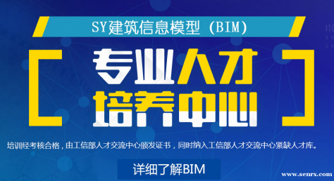 �ػʵ�SY��BIM��ѵ