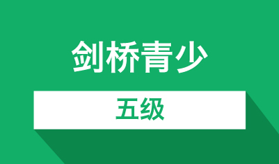 ���������弶