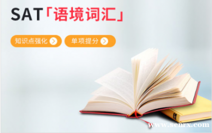 �������SAT�ﾳ�ʻ��ж���ѵ������� SAT�Ķ��������̿�