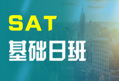 �ൺSAT������ѵ��