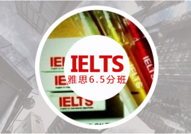 ������˼��6.5����ѵ