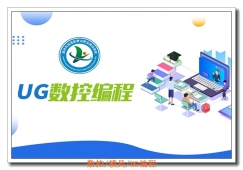 ���������UG��ѵ��